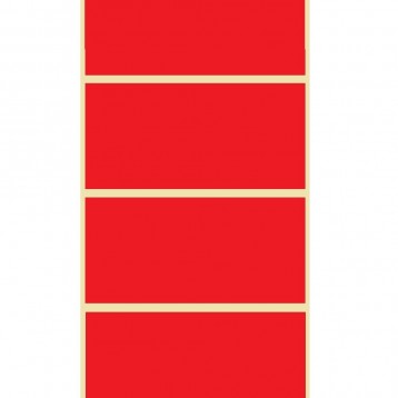 FSM - Zebra POLYPRO 3000T ROUGE - 102mmx51mm - Mandrin 25mm