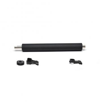 Kit platen Zebra ZD421C - Transfert &agrave; Cartouche 203 dpi